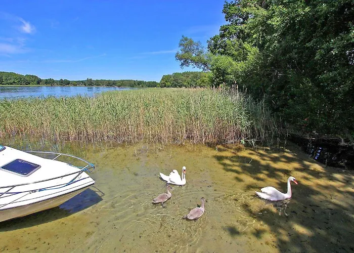 Rheinsberg Scharfenberg